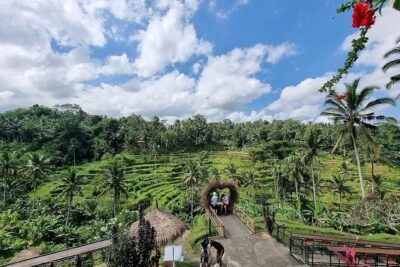 Best of Ubud Private Tour with Jungle Swing Experience - Stop 1: Puseh Batuan Temple and Its Gate for Photos