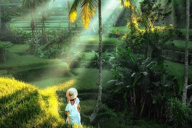 Best of Ubud Tour: Monkey Forest, Rice Terraces & Waterfall - Tirta Empul Temple: Holy Water Spring and the Melukat Option