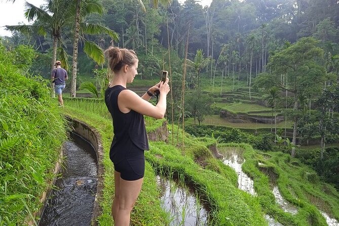 Best of Ubud - Ubud Tour Popular - All Inclusive - Best of Ubud Private Tour: A Smooth Day Built for First-Timers
