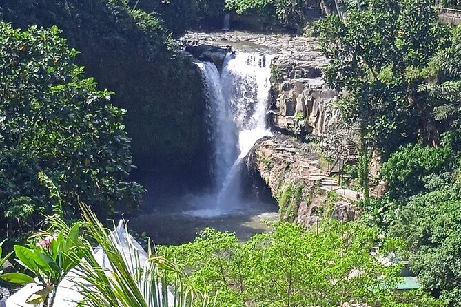Best of Ubud - Ubud Tour Popular - All Inclusive - What’s included—and what you’ll pay for yourself