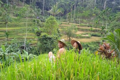 Best of Ubud - Ubud Tour Popular - All Inclusive - Getting picked up across Bali’s popular areas