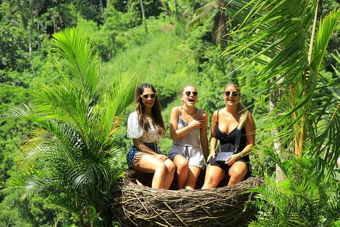 Best of Ubud Village Private Tour with Jungle Swing All Inclusive - Tegalalang rice terraces: iconic views with a focused stop