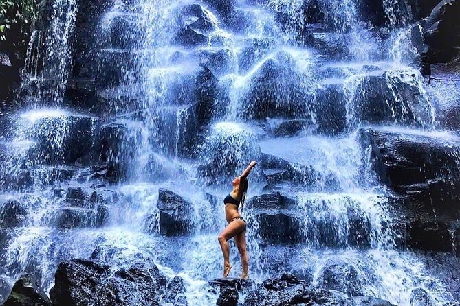 Best of Ubud Waterfalls, Tegalalang Rice Terrace & Jungle Swing - Entrance tickets, what’s included, and what to double-check