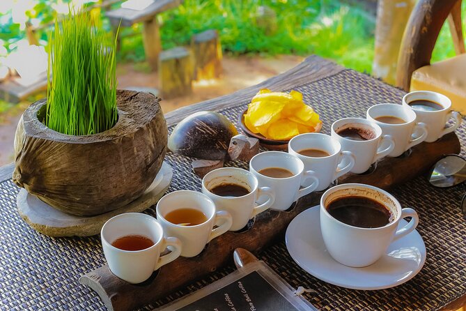 Best of Ubud: Waterfalls, Temple & Rice Terraces Private Day Tour - Tirta Empul Temple: Holy Spring Water and a Sarong-Ready Ritual