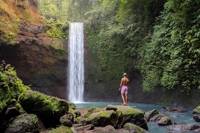 Best of Ubud: Waterfalls, Temple & Rice Terraces Private Day Tour - Price and Value: What You’re Really Getting for $31