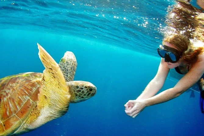 Best Snorkeling Trip at Blue Lagoon Bali - A full-day snorkeling plan that starts on easy mode from Ubud
