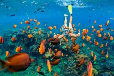 Best Snorkeling Trip at Blue Lagoon Bali - Pickup and the ride to Padang Bai: comfort matters more than you think
