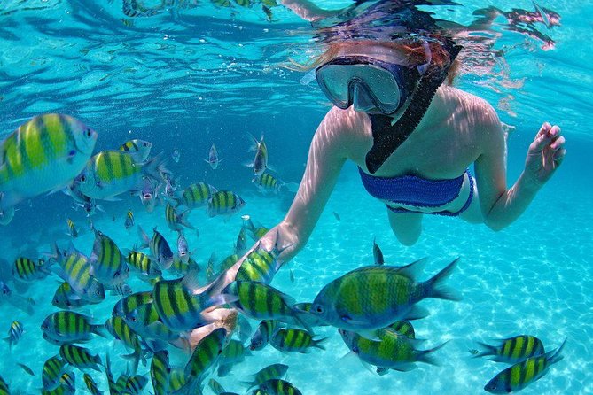 Best Snorkeling Trip at Blue Lagoon Bali - Stop 2: Tanjung Jepun reef, lots of fish, and the jellyfish/trash reality check