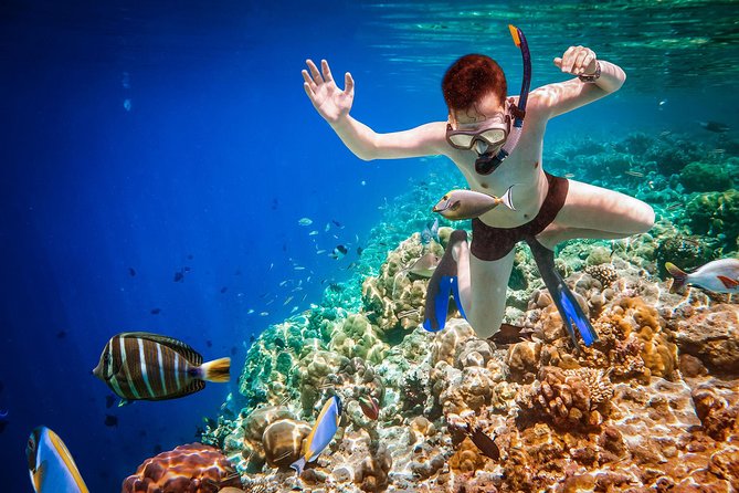 Best Snorkeling Trip at Blue Lagoon Bali - Food and rinse-down: fried rice or noodles after the water