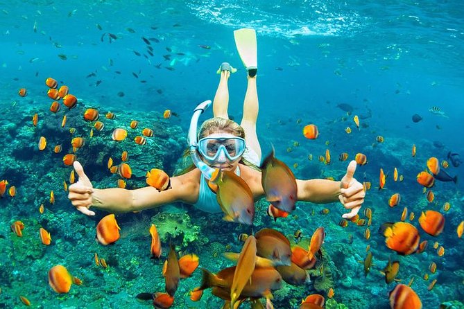 Best Snorkeling Trip at Blue Lagoon Bali - Price and value: why $39.39 is reasonable for two reef stops