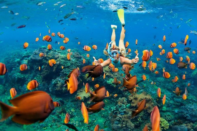 Best Snorkeling Trip at Blue Lagoon Bali - Pickup and the ride to Padang Bai: comfort matters more than you think