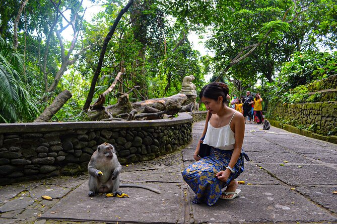 Best Ubud Highlights - Private Day Tour - Tegalalang Rice Terraces: the views plus the story of Subak