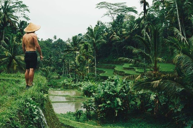 Best Ubud Tours -All inclusive with private driver - Key highlights I’d plan around