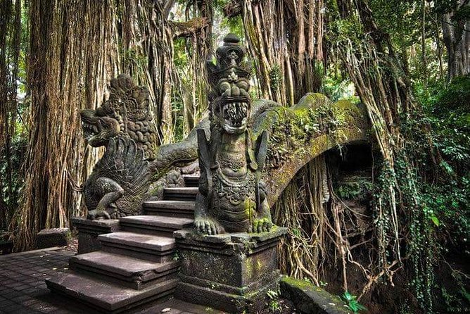 Best Ubud Tours -All inclusive with private driver - Tegallalang Rice Terrace and lunch at D’Alas Restaurant