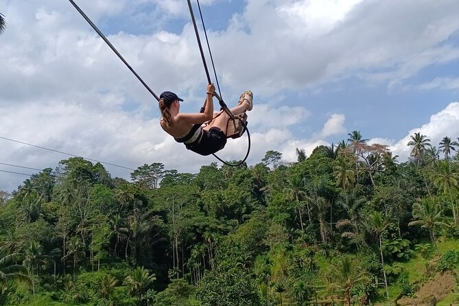 Best Ubud Tours -All inclusive with private driver - Price and value: why around $34.75 can work well