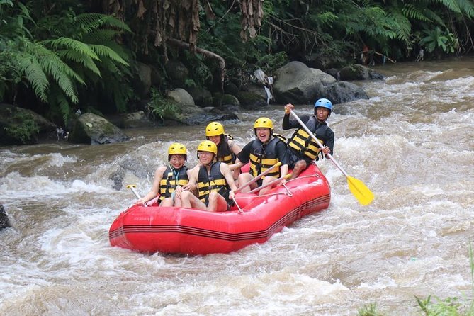 Best White Water Rafting in Bali - Why the Ayung River Works for First-Timers and Families