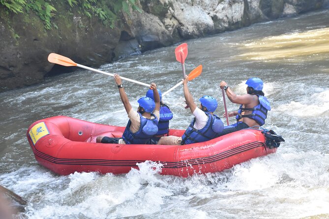 Best White Water Rafting & Lunch, Ubud - Ayung River in Ubud: a fun intro to white water