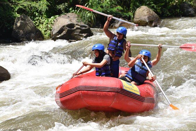 Best White Water Rafting & Lunch, Ubud - The rapids plan: 11 km and 28 class II–III moments