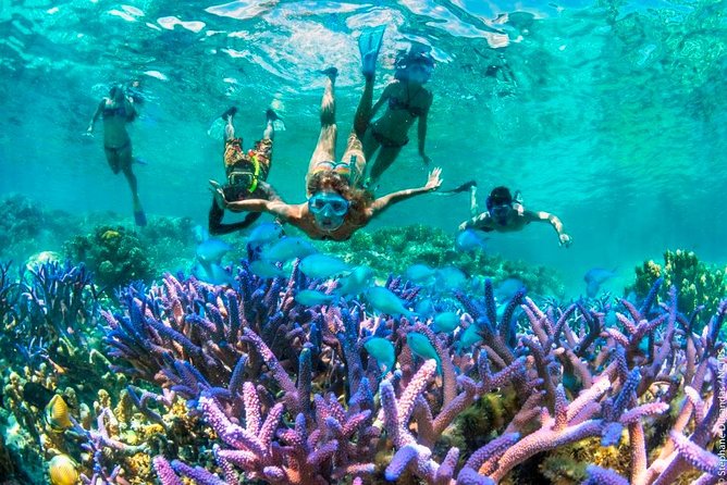 Bloo Lagoon Snorkeling East Bali Includes Transportation & Lunch - Door-to-door transport from Ubud and south Bali: why it’s a big deal