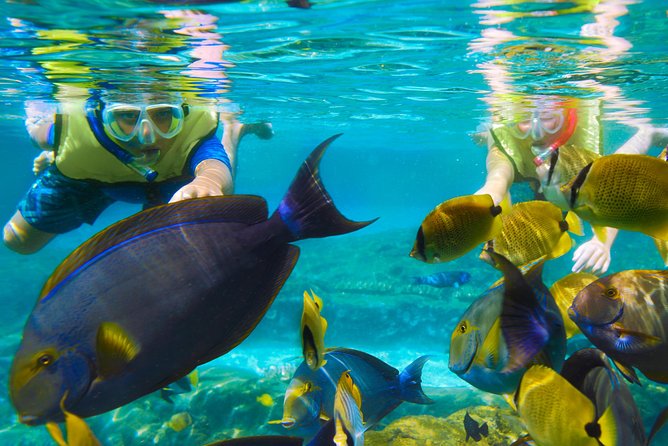 Bloo Lagoon Snorkeling East Bali Includes Transportation & Lunch - Lempuyang Temple Gates of Heaven upgrade: the photo stop with trade-offs