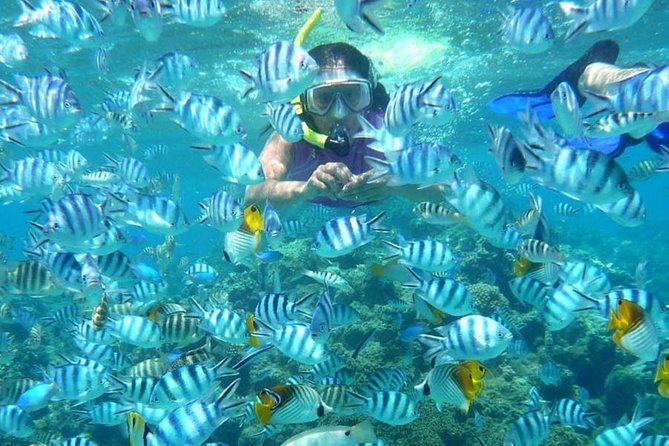 Bloo Lagoon Snorkeling East Bali Includes Transportation & Lunch - Gear, swim comfort, and what to bring (so you don’t lose time)