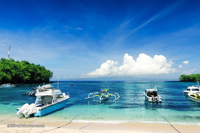 Bloo Lagoon Snorkeling East Bali Includes Transportation & Lunch - Price and value: is $82.50 a good deal?