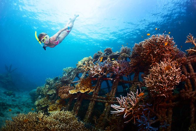 Bloo Lagoon Snorkeling East Bali Includes Transportation & Lunch - Small details that can make your day smoother