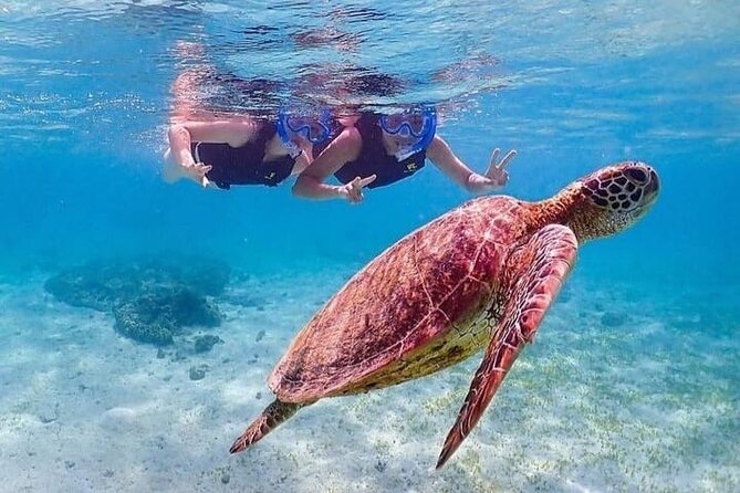 Bloo Lagoon Snorkeling East Bali Includes Transportation & Lunch - Lunch right after snorkeling: simple, useful, and included