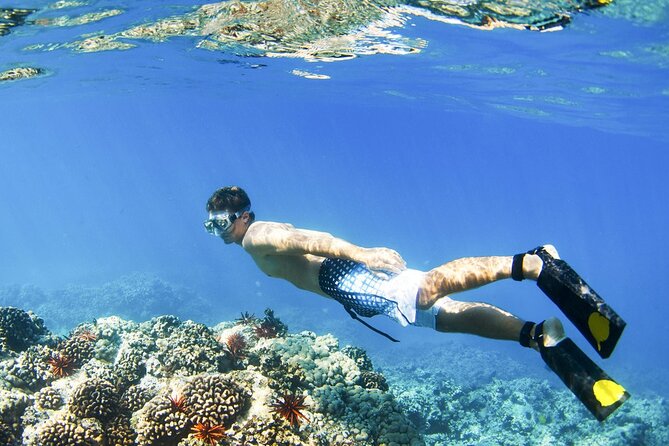 Blue Lagoon Snorkeling and Lunch - Ubud Monkey Forest - Waterfall - Two reefs in Padangbai: Blue Lagoon and Tanjung Jepun snorkel time