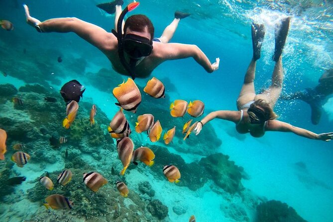 Blue Lagoon Snorkeling and Lunch - Ubud Monkey Forest - Waterfall - Boat transfers, timing, and what “structured” means on a busy day