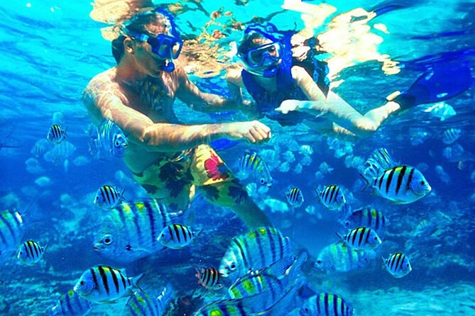 Blue Lagoon Snorkeling and Lunch - Ubud Monkey Forest - Waterfall - Price and value: what $48 buys you in the real world