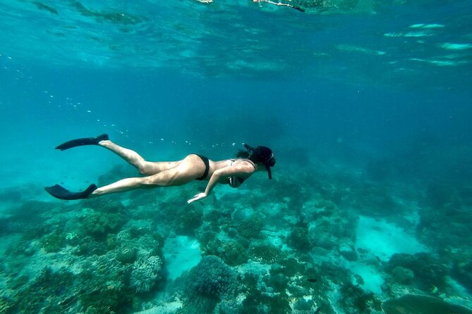 Blue Lagoon Snorkeling and Lunch - Ubud Monkey Forest - Waterfall - Who this tour is for (and who should think twice)