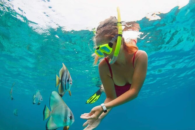 Blue Lagoon Snorkeling and Lunch - Ubud Monkey Forest - Waterfall - How the guide instruction makes or breaks the water time