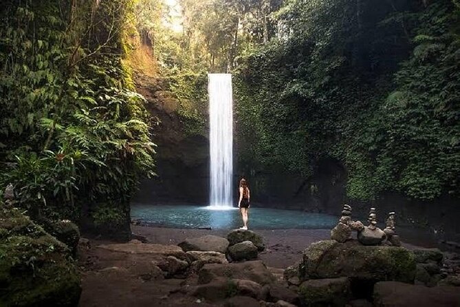 Blue Lagoon Snorkeling and Lunch with Private Transfer - Price and Logistics: What $48 Really Buys