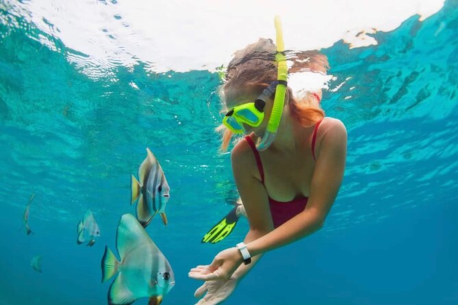 Blue Lagoon Snorkeling and Lunch with Private Transfer - Shower, Change, Charge: Reset Before Waterfalls