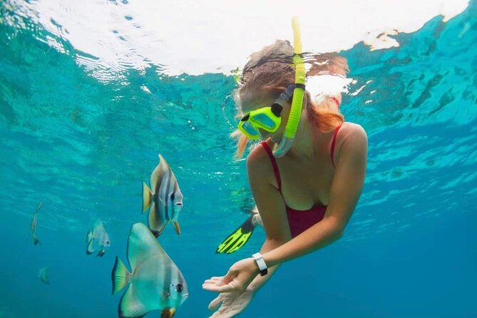 Blue Lagoon Snorkeling and Lunch with Tukad Cepung Waterfall - Key Highlights at a Glance