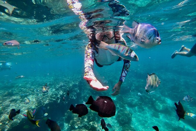 Blue Lagoon Snorkeling and Lunch with Tukad Cepung Waterfall - Lunch at Topi Inn in Padangbai: A Break That Actually Helps