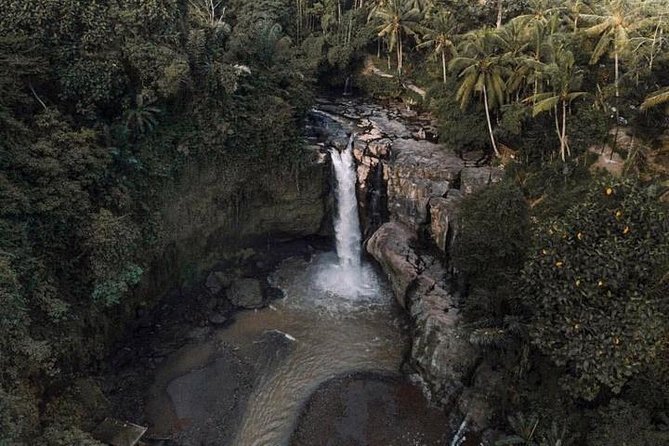 Blue Lagoon Snorkeling and Lunch with Visit Tegenungn Waterfall in Ubud - Price and what’s actually included at $55