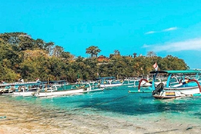 Blue Lagoon Snorkeling and Lunch with Visit Tegenungn Waterfall in Ubud - Who should book this Blue Lagoon + Tegenungan tour