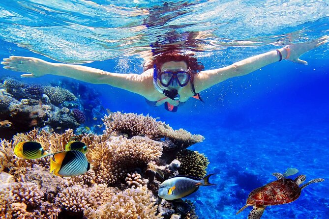 Blue Lagoon & Tanjung Jepun Snorkeling Private Tour - Key Highlights You’ll Notice Right Away