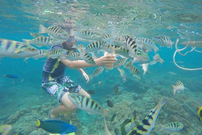 Blue Lagoon & Tanjung Jepun Snorkeling Private Tour - Stop 1: Blue Lagoon Beach and Calm-Water Reef Viewing