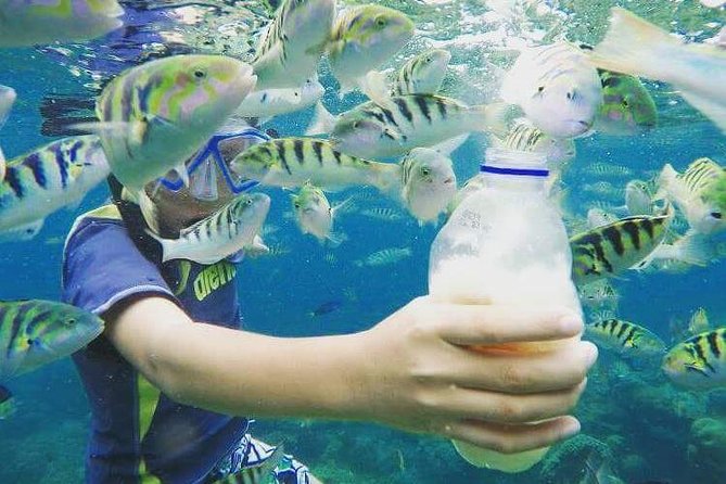 Blue Lagoon & Tanjung Jepun Snorkeling Private Tour - Lunch and Shower Time: The Part Most People Forget