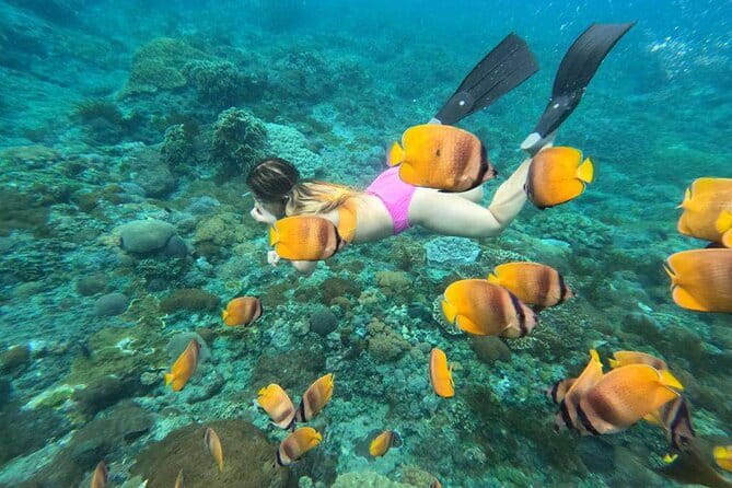 Buggy Bali UTV Adventure in Ubud with optional Hotel Transfer - Snorkeling at Sanur, Manta Bay, and Nusa Lembongan: The Wildlife Factor