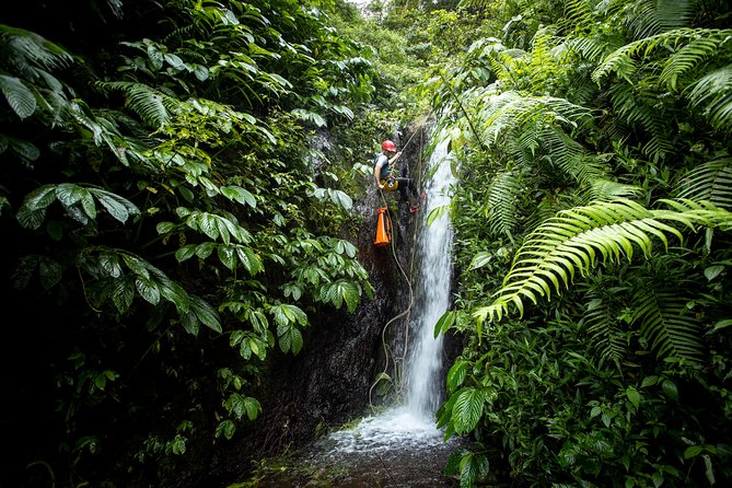 Canyoning Bali, Tamata Canyon (Adventure, discovery, nature) - Tamata Canyon’s early start: pickup, 4x4 drive, and basecamp coffee