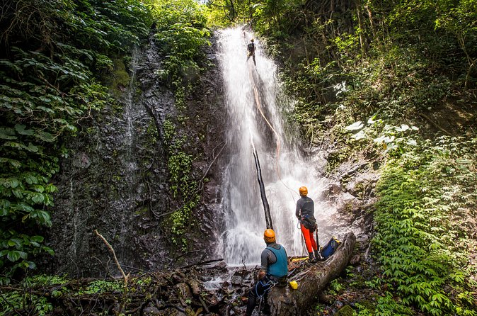 Canyoning Bali, Tamata Canyon (Adventure, discovery, nature) - Tamata’s jungle setting: what makes it feel different from a quick canyon trip