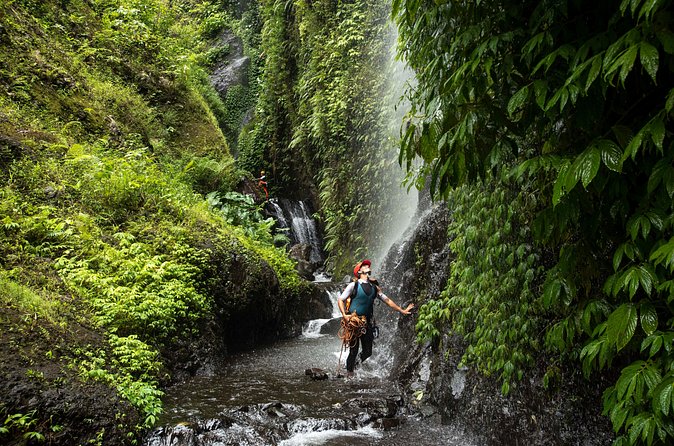 Canyoning Bali, Tamata Canyon (Adventure, discovery, nature) - Price and value: what USD 310 covers (and what you still need to bring)