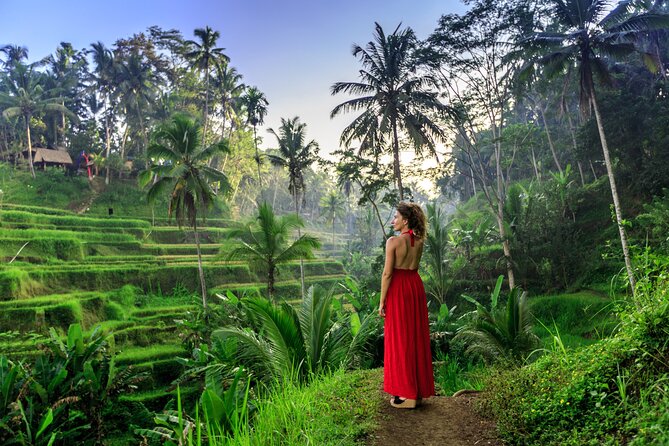 Cave Tubing Adventure & Rice terrace - The Real Advantage: Private Transport, A/C Comfort, and Drivers Who Get It