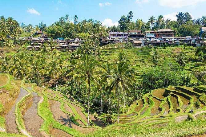 Central Bali Tour: Ubud Village, Kintamani Volcano, and Waterfall - Logistics That Affect Your Comfort (Not Just the Route)