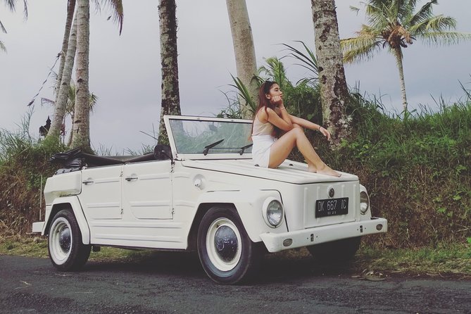 Daily VW Tour - Ubud VW Tour - Key Points to Know Before You Go