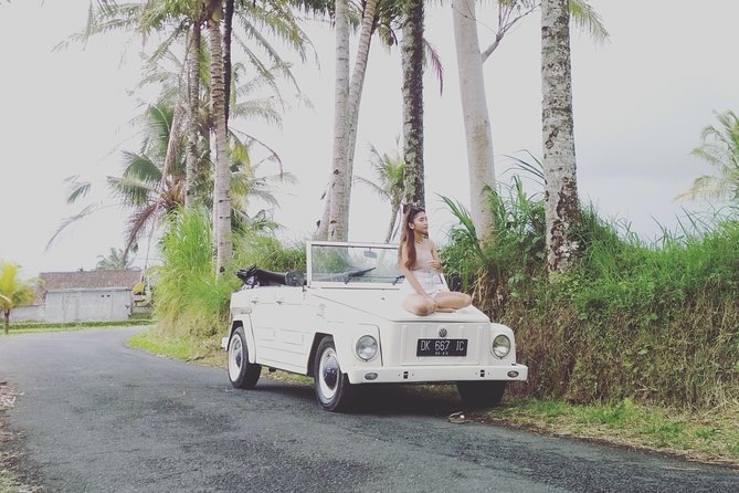Daily VW Tour - Ubud VW Tour - Your Driver: The Difference Between Seeing and Getting It